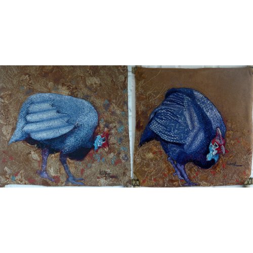 Swe-Swe Guinea Fowl